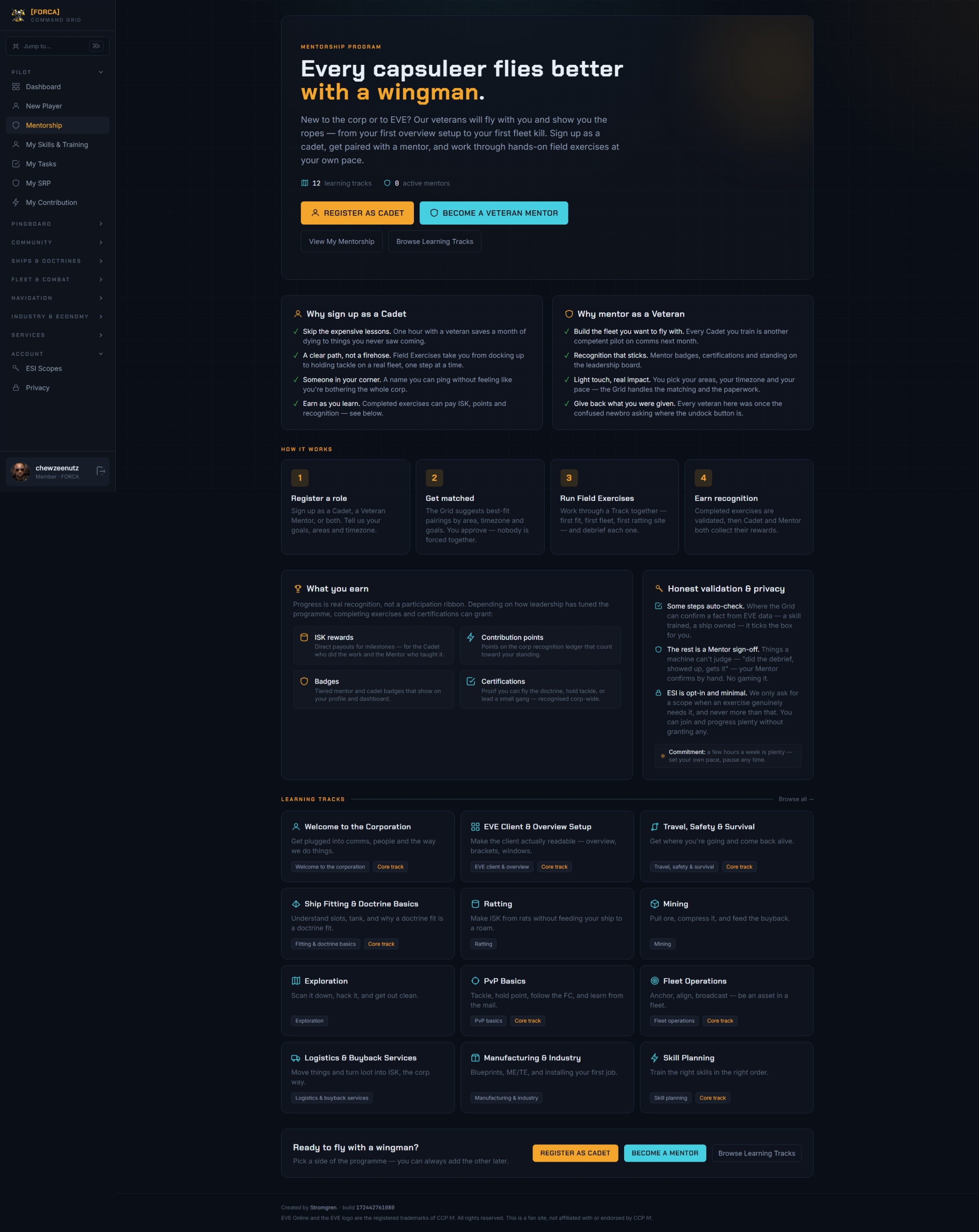 Mentorship program landing page with learning tracks